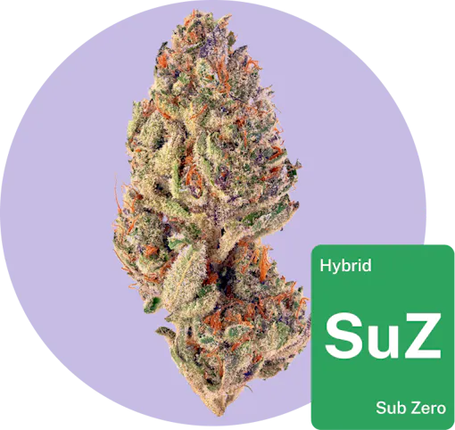 Sub Zero cannabis bud with strain tile
